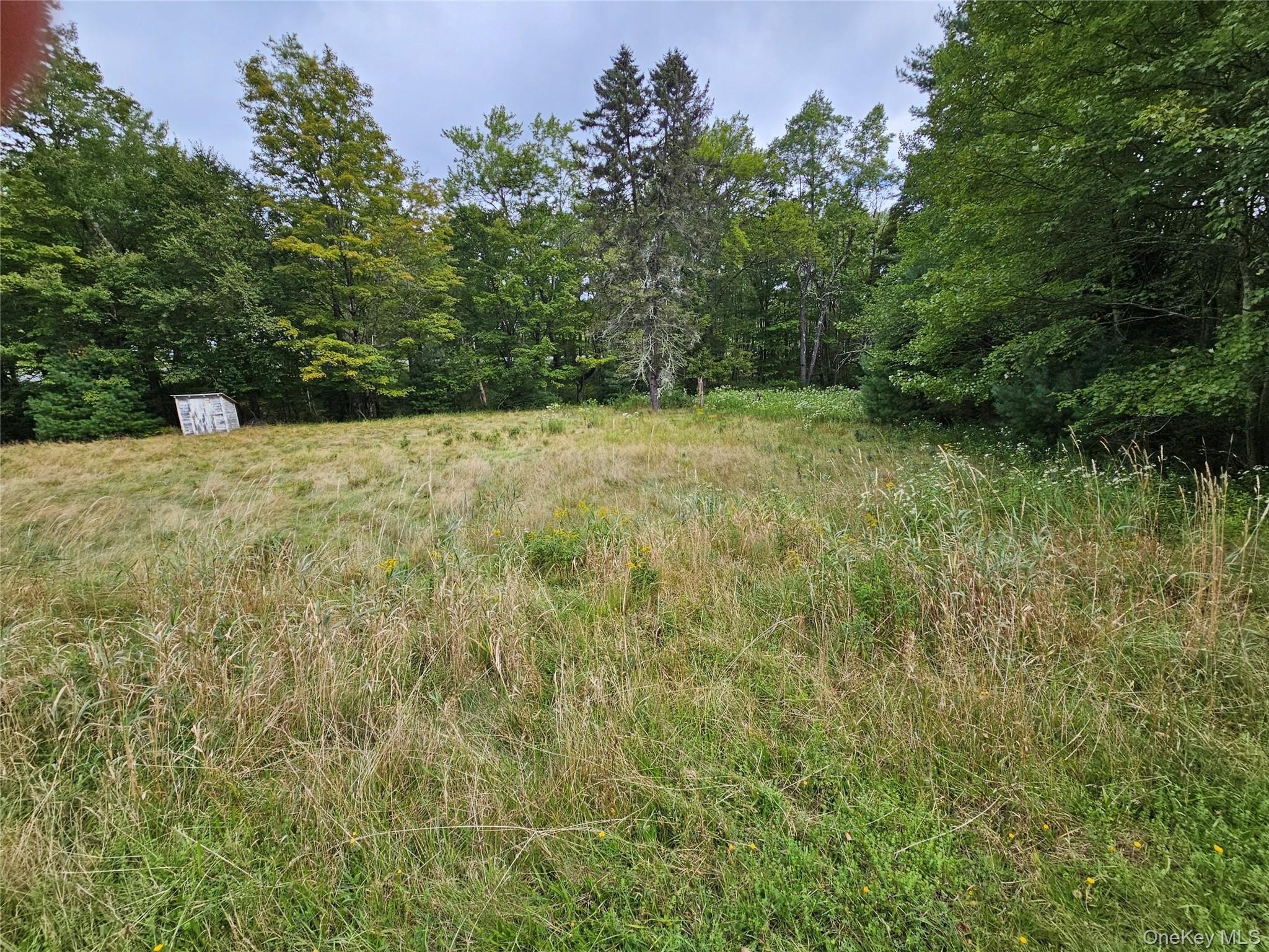 Three-Acre Lot in Kauneonga Lake