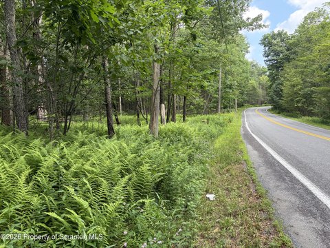 LAND - Covington Twp, PA