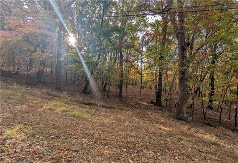 Residential Lot in Gated Community