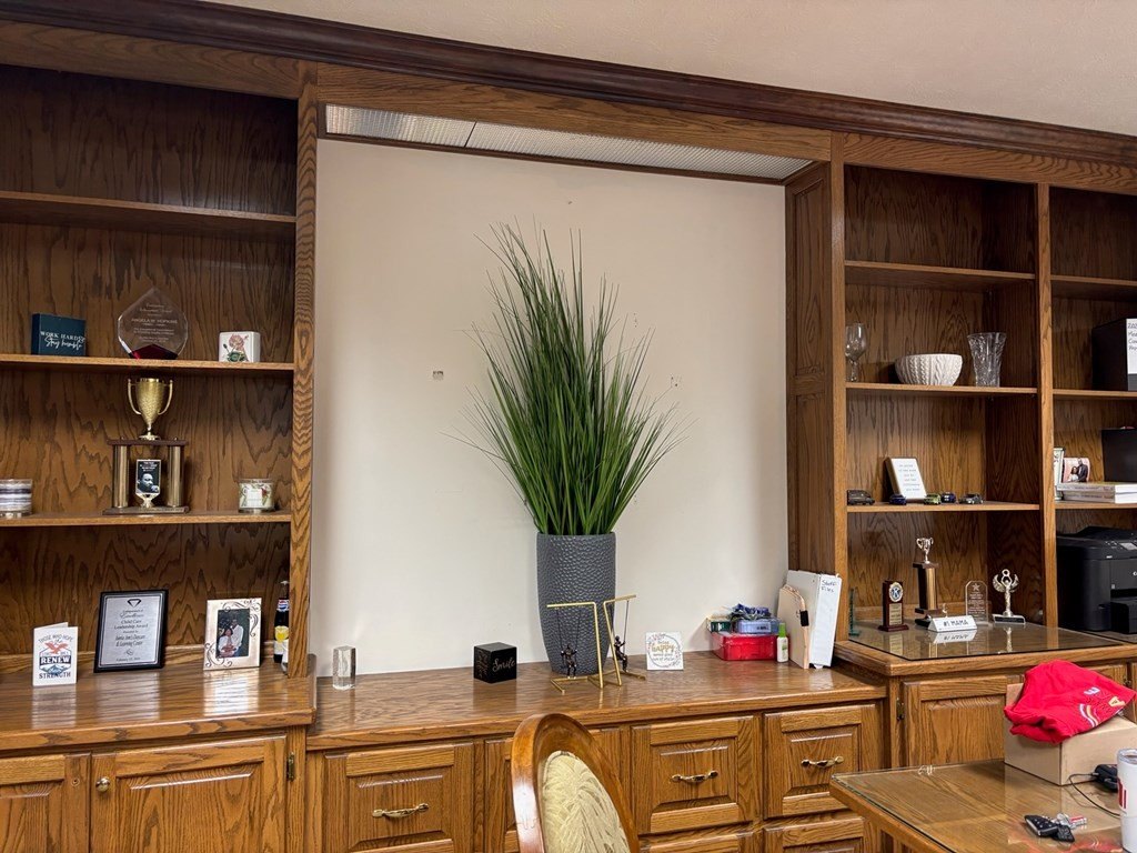 Picture 15