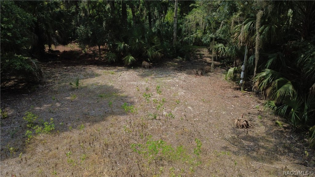 Picture 27