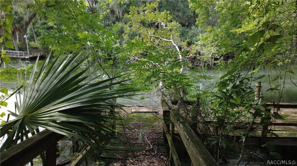 Picture 31