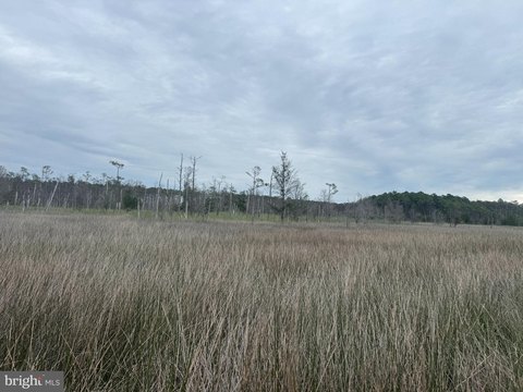 92.71 Acres Eastern Shore Land