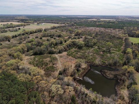 Ranch Land with Timber Exemption
