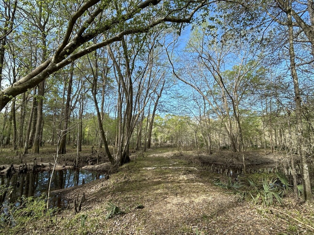 Picture 7