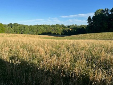 Land, Burkesville, KY