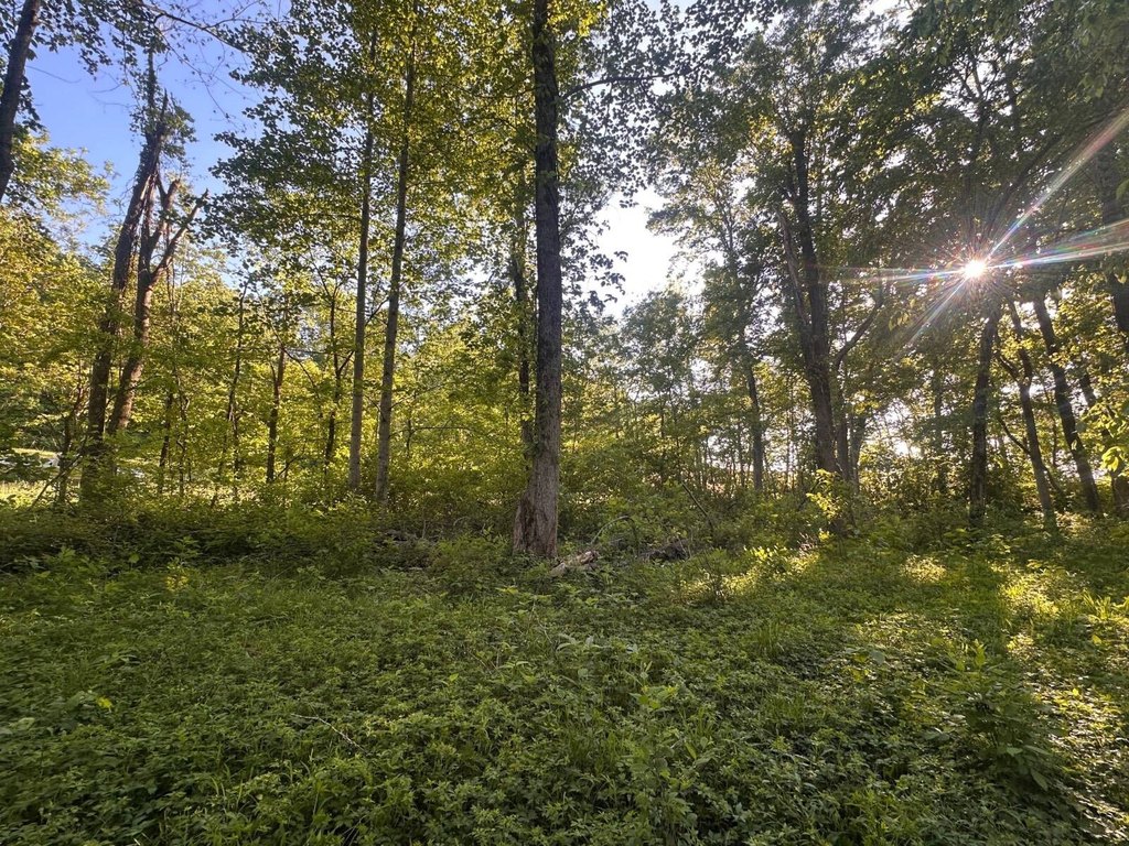Picture 8