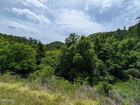 Land, Duffield, VA