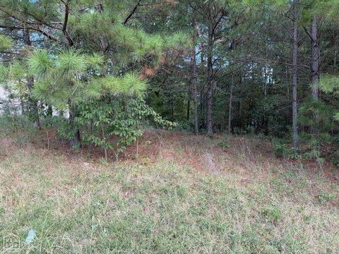 Vacant Land, Paragould, AR