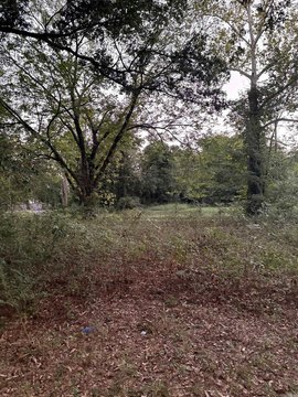 Vacant Land, Pine Bluff, AR