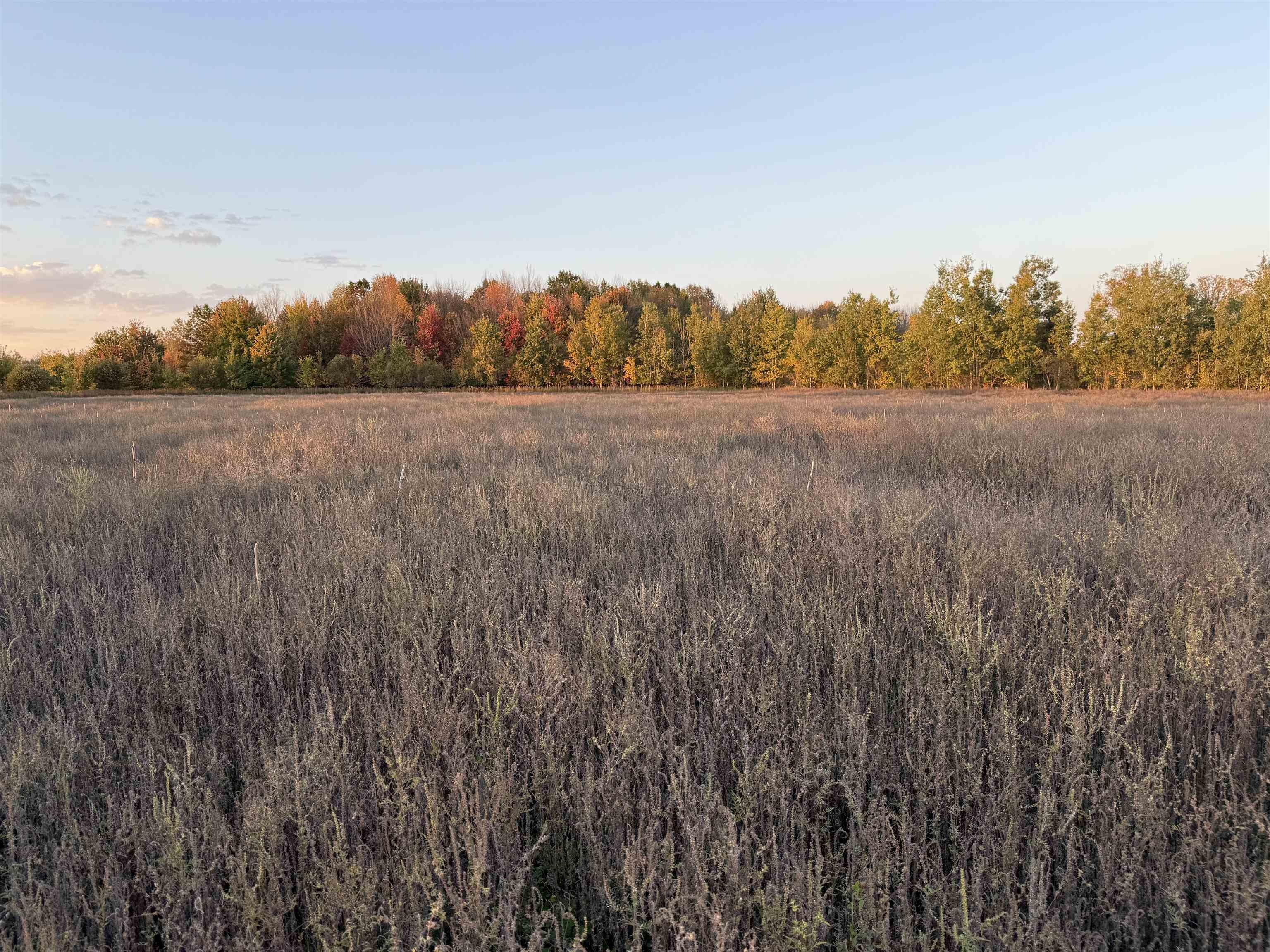 Ringle, WI Land Parcel