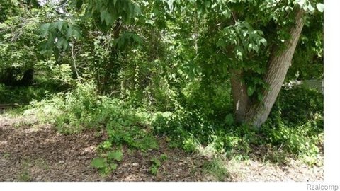 Vacant Land, Orion Twp, MI