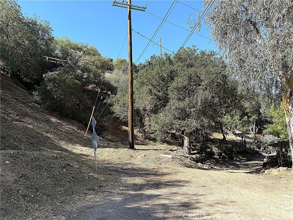 Picture 2
