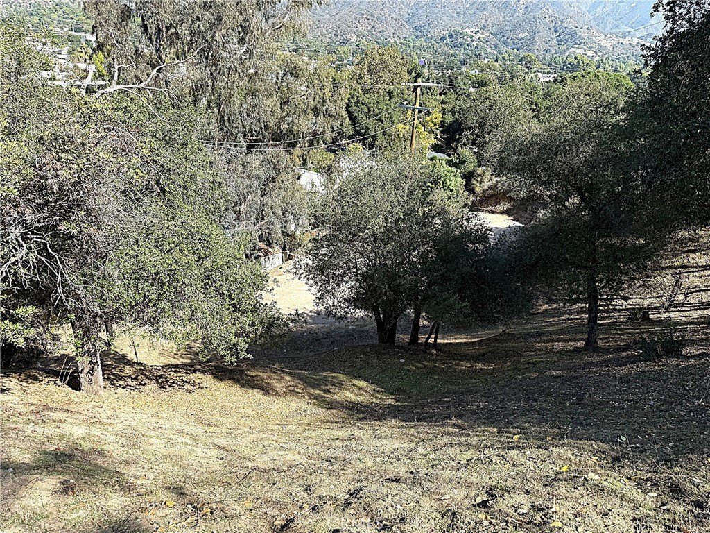 Picture 20
