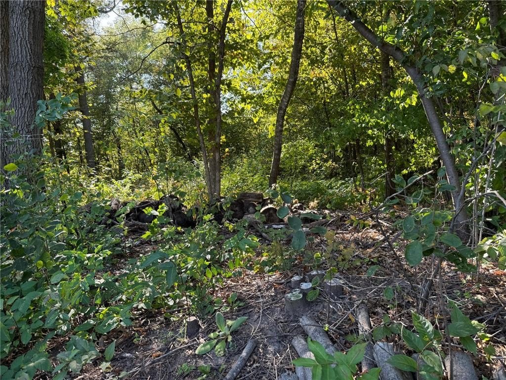 Picture 13