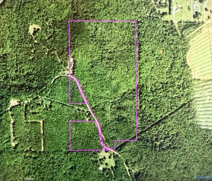 74.5 Acres of Hunting Land