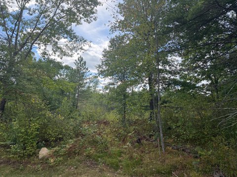 Land, Minocqua, WI