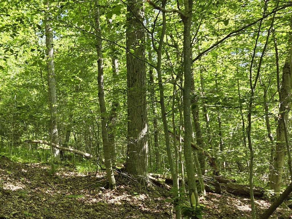 Picture 17