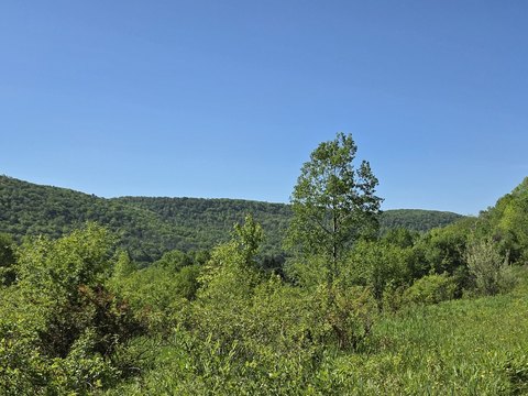 Timber & Recreation Land Tract