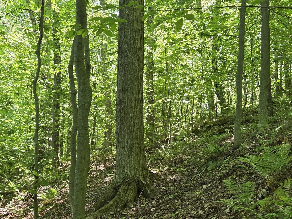Picture 4