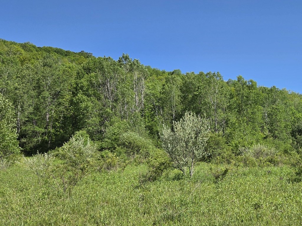 Picture 10