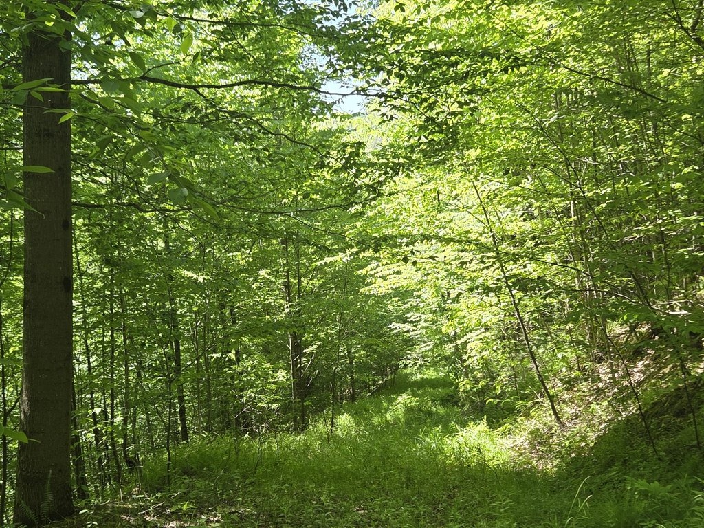 Picture 36