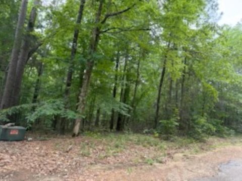 Residential Land in Camden, AR