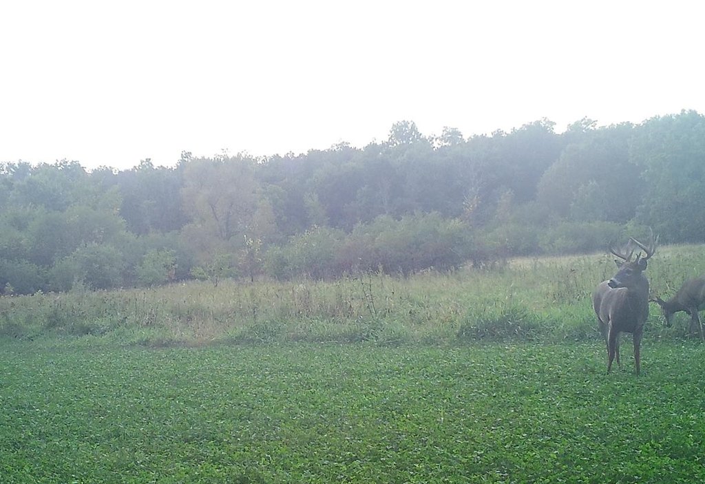 Picture 6