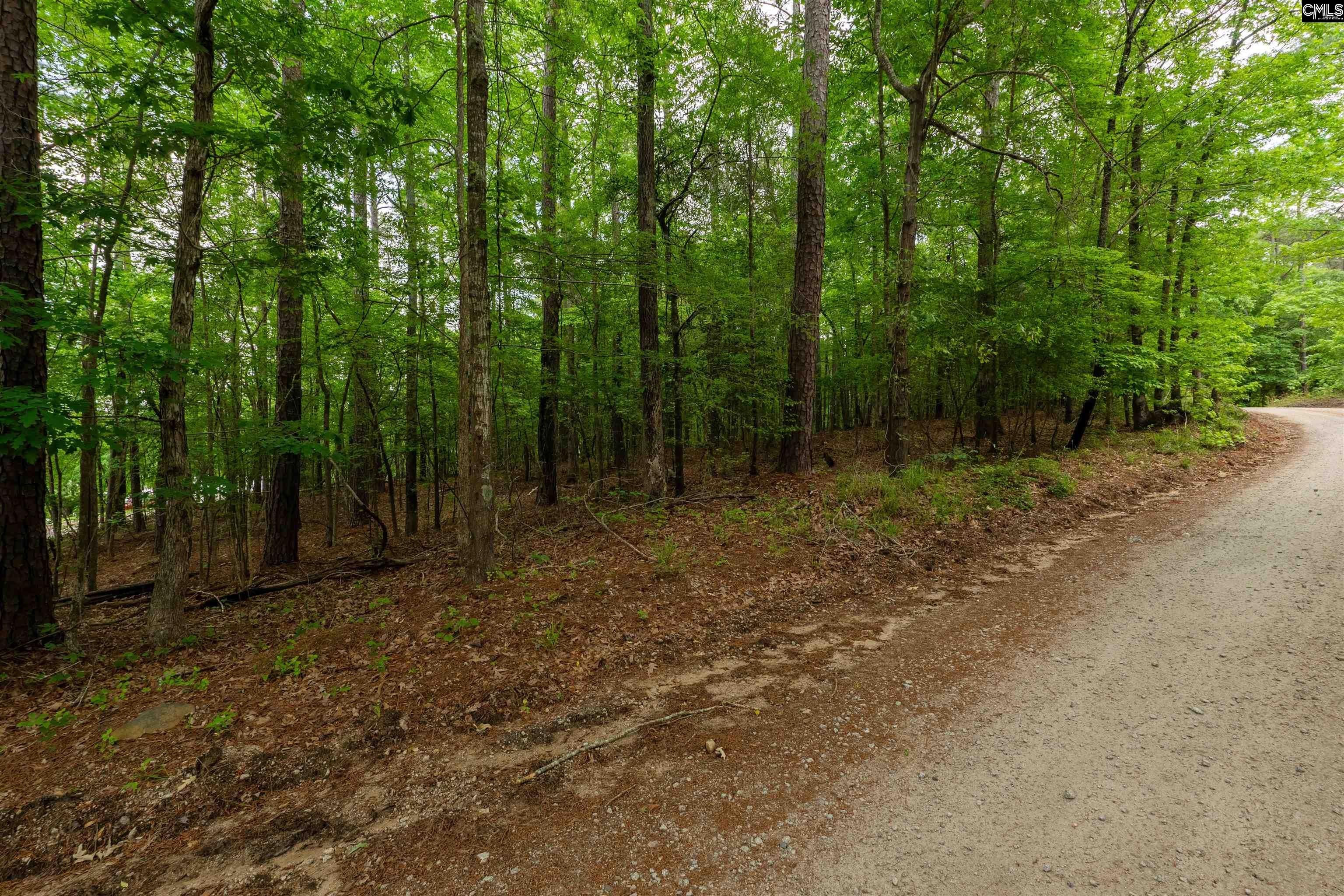 Lake Wateree View Homesite