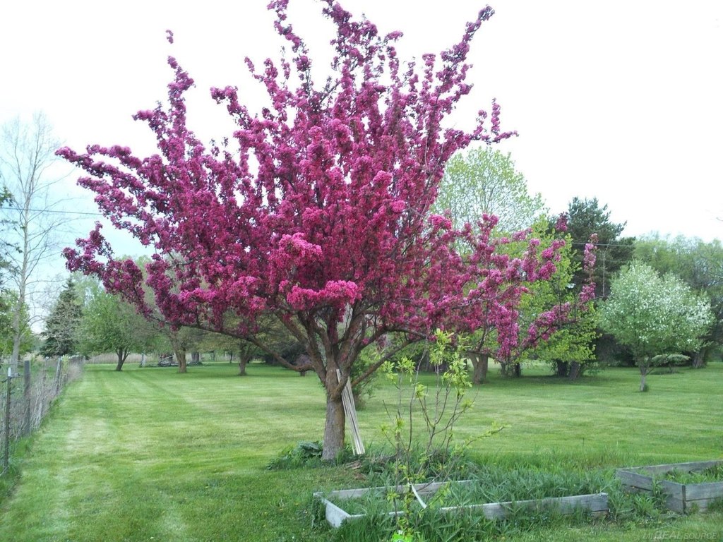 Picture 3