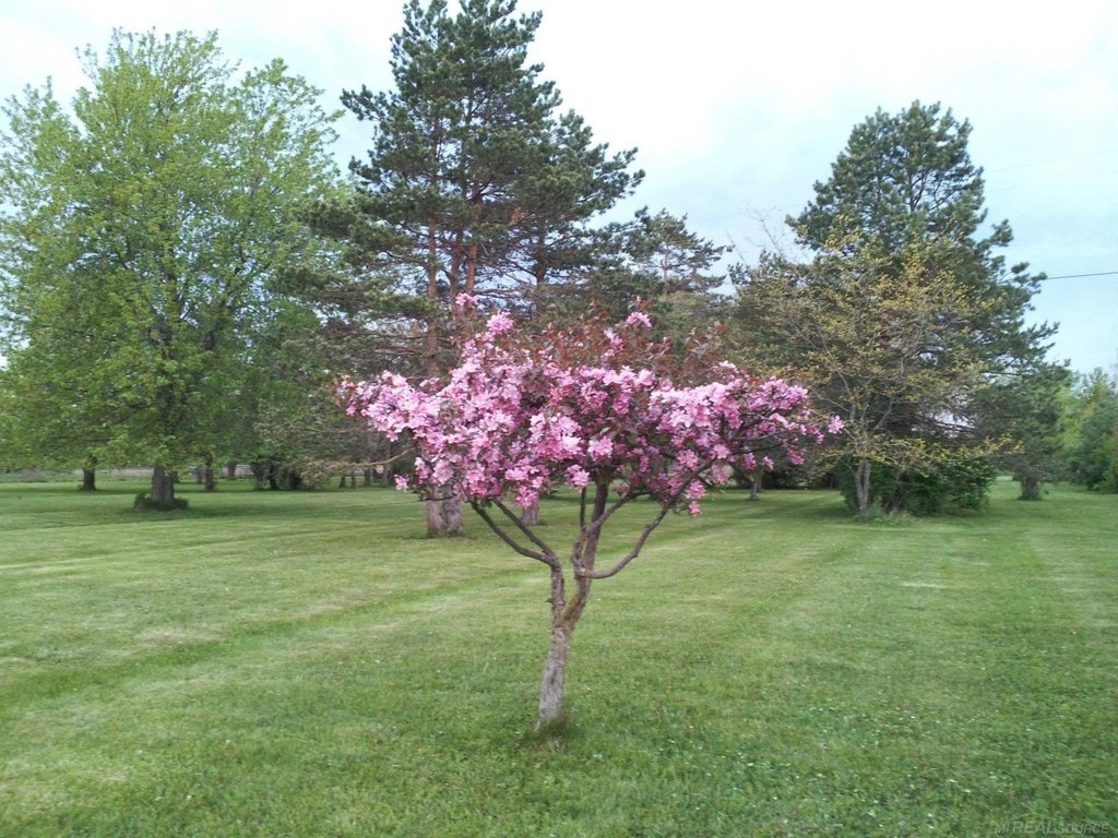 Picture 8