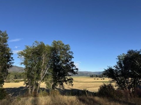 Land, Greenville, CA