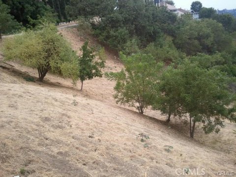Lots in Up-And-Coming Glassell Park