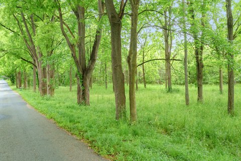 LAND - Kalamazoo, MI