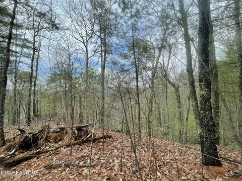 Lots & Acreage, Walland, TN