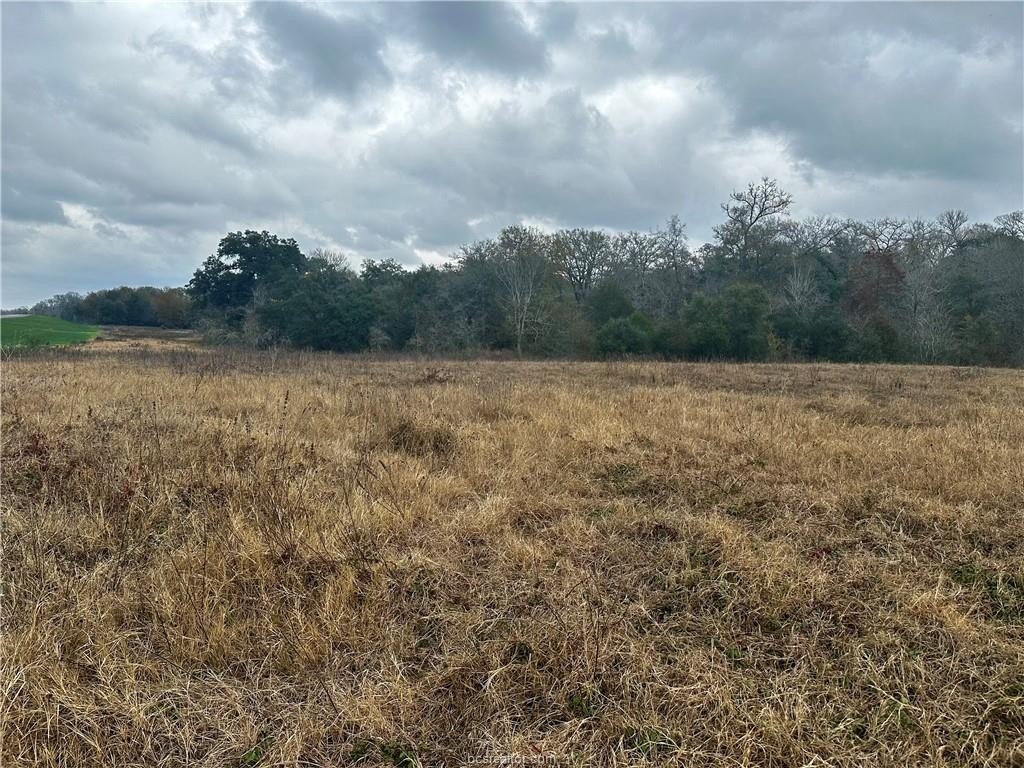 Somerville Agricultural Land For Sale