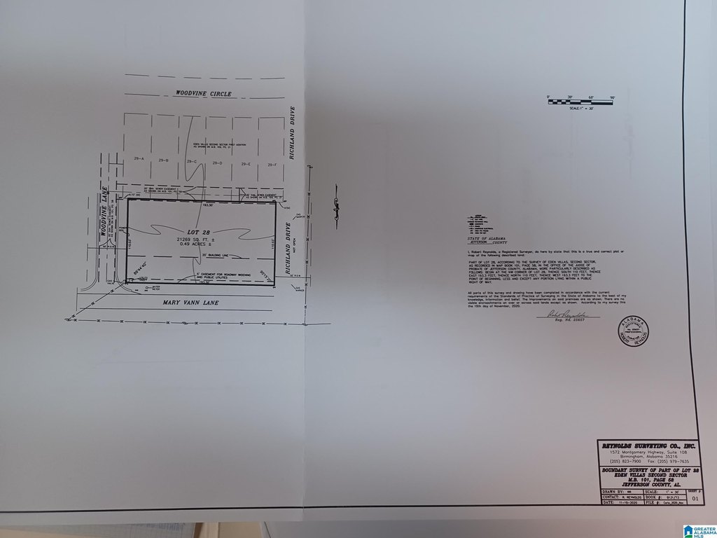Picture 3