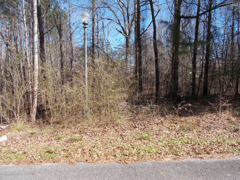 Land in Friendship Estates