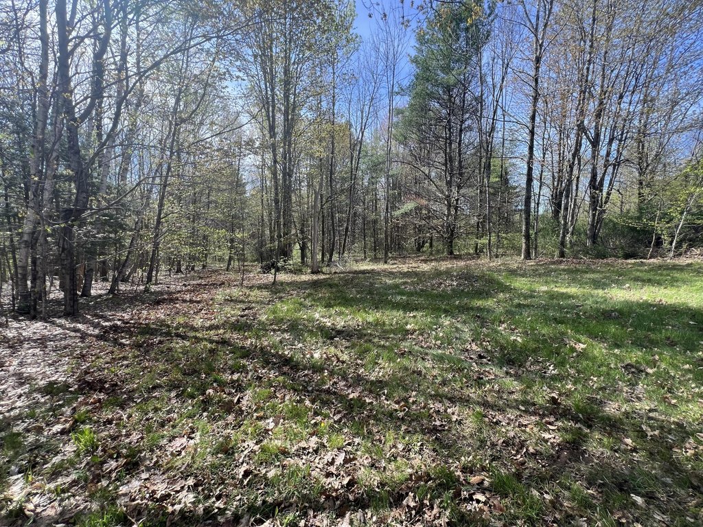 Picture 11