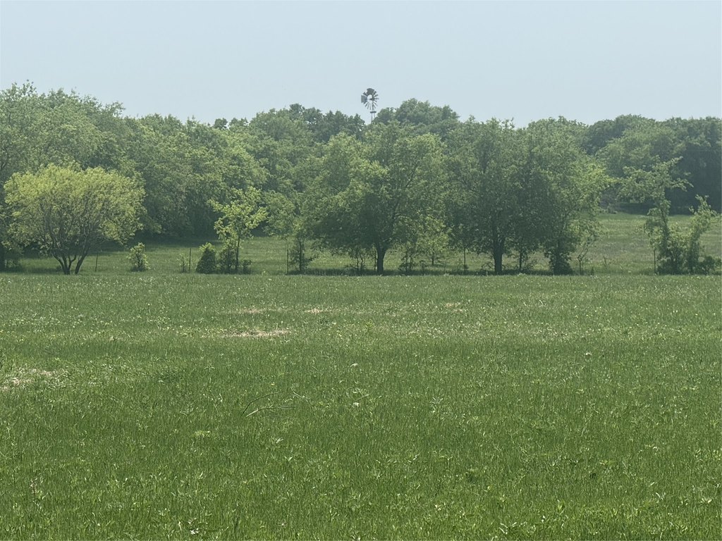 Picture 3