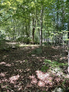 LAND - Lyman, ME