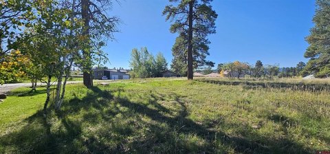 LAND, Pagosa Springs, CO