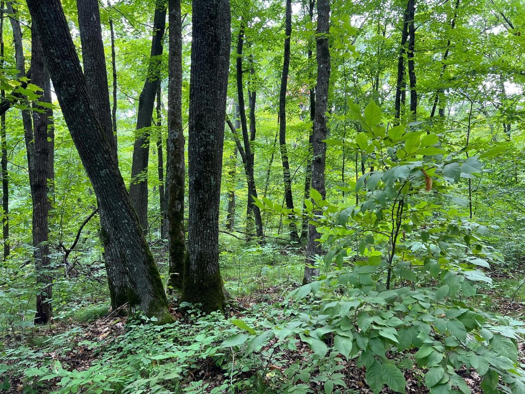 Picture 10