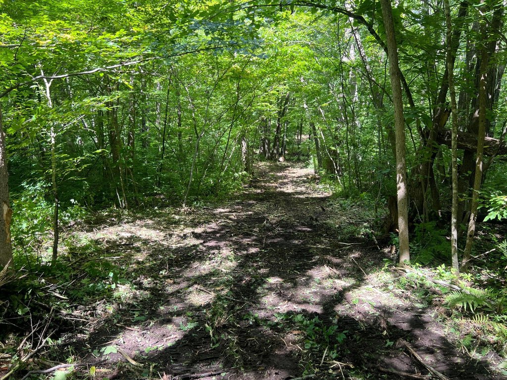 Picture 21