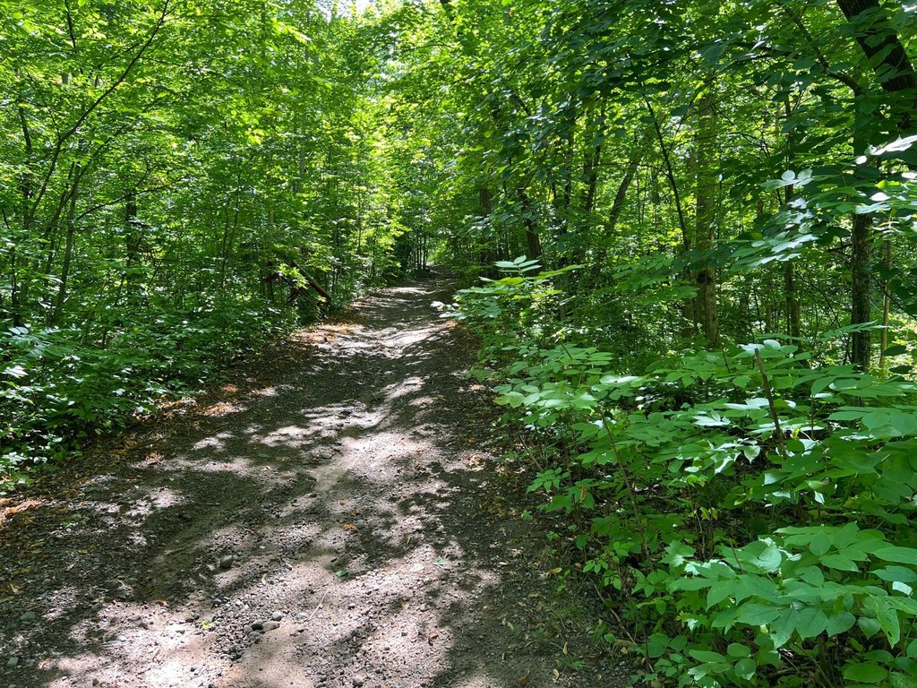 Picture 26