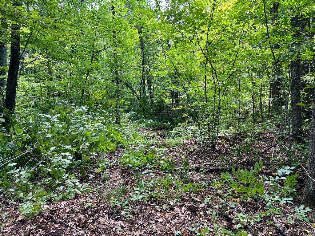 Picture 18