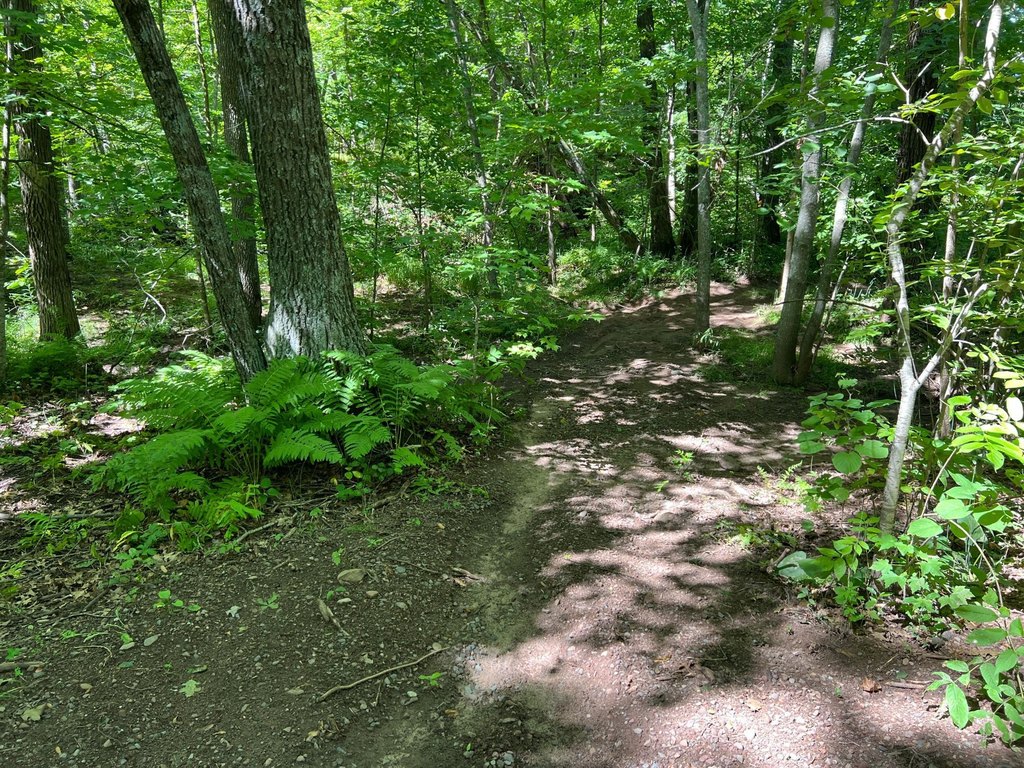 Picture 24