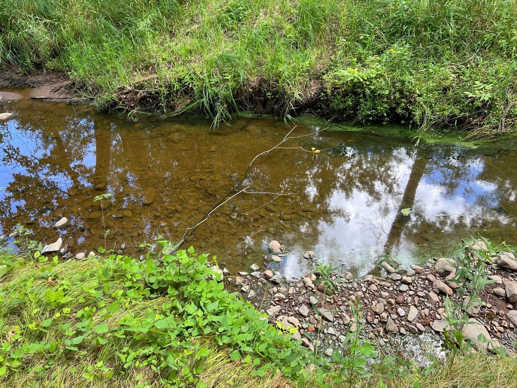Picture 12