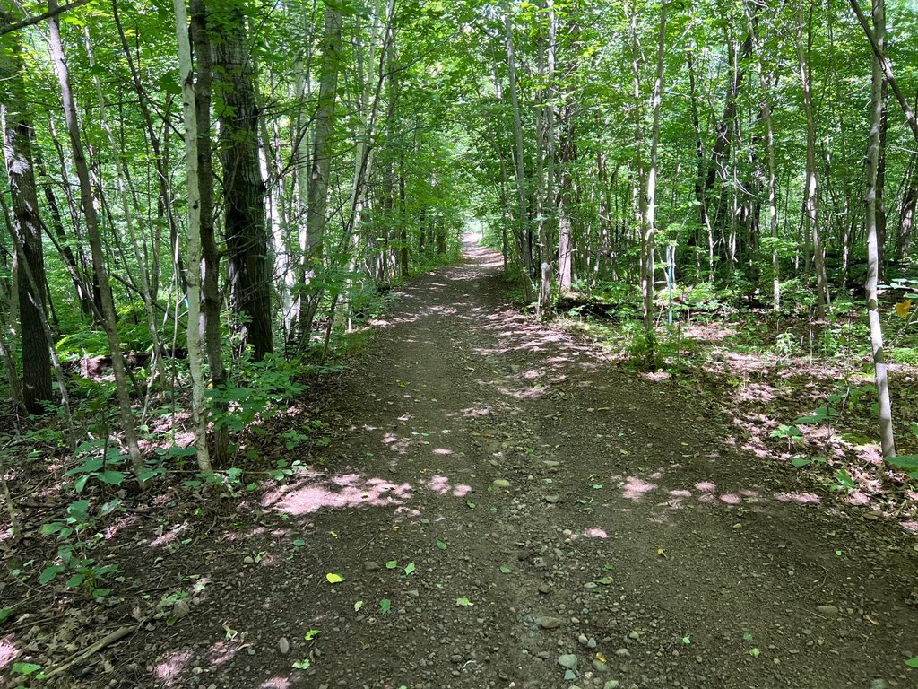 Picture 22