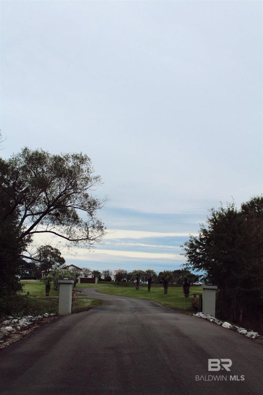 Picture 53